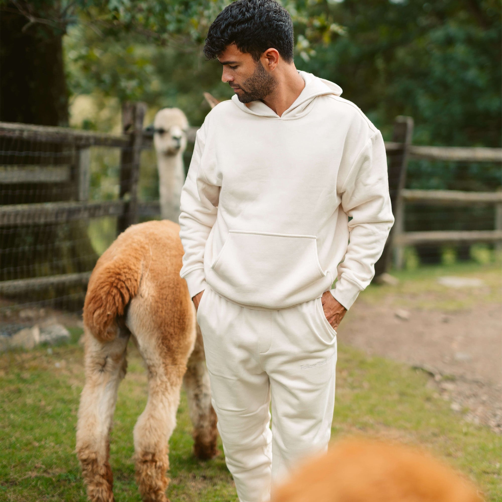 Men's AlpacaCloud® Heavyweight Hoodie: Reversible, Ultra-Soft, Stress-Reducing Comfort