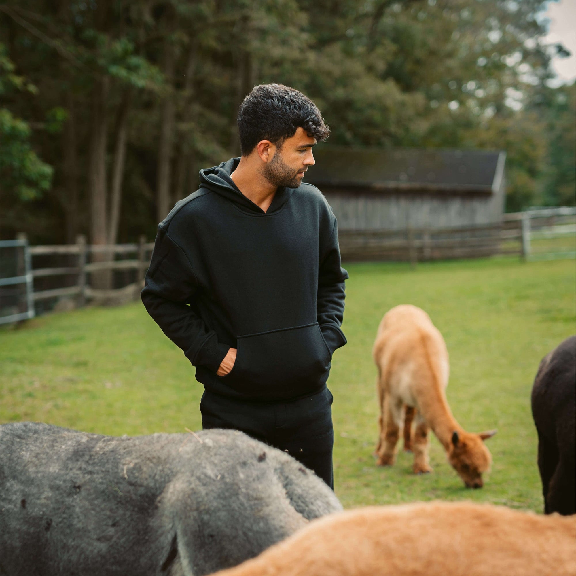 Men's AlpacaCloud® Heavyweight Hoodie: Reversible, Ultra-Soft, Stress-Reducing Comfort